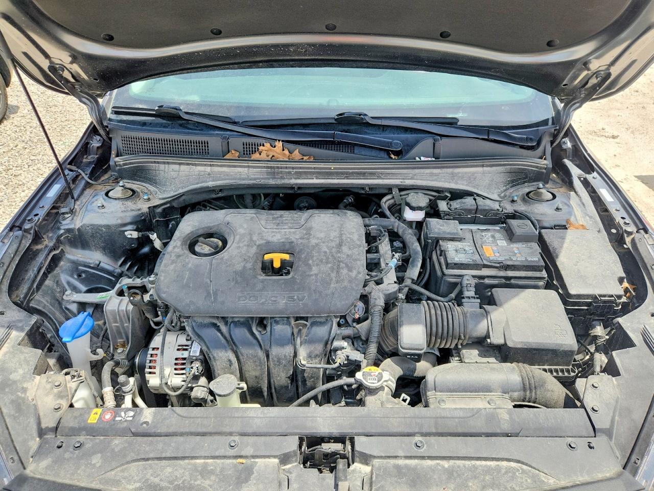 2024 KIA FORTE