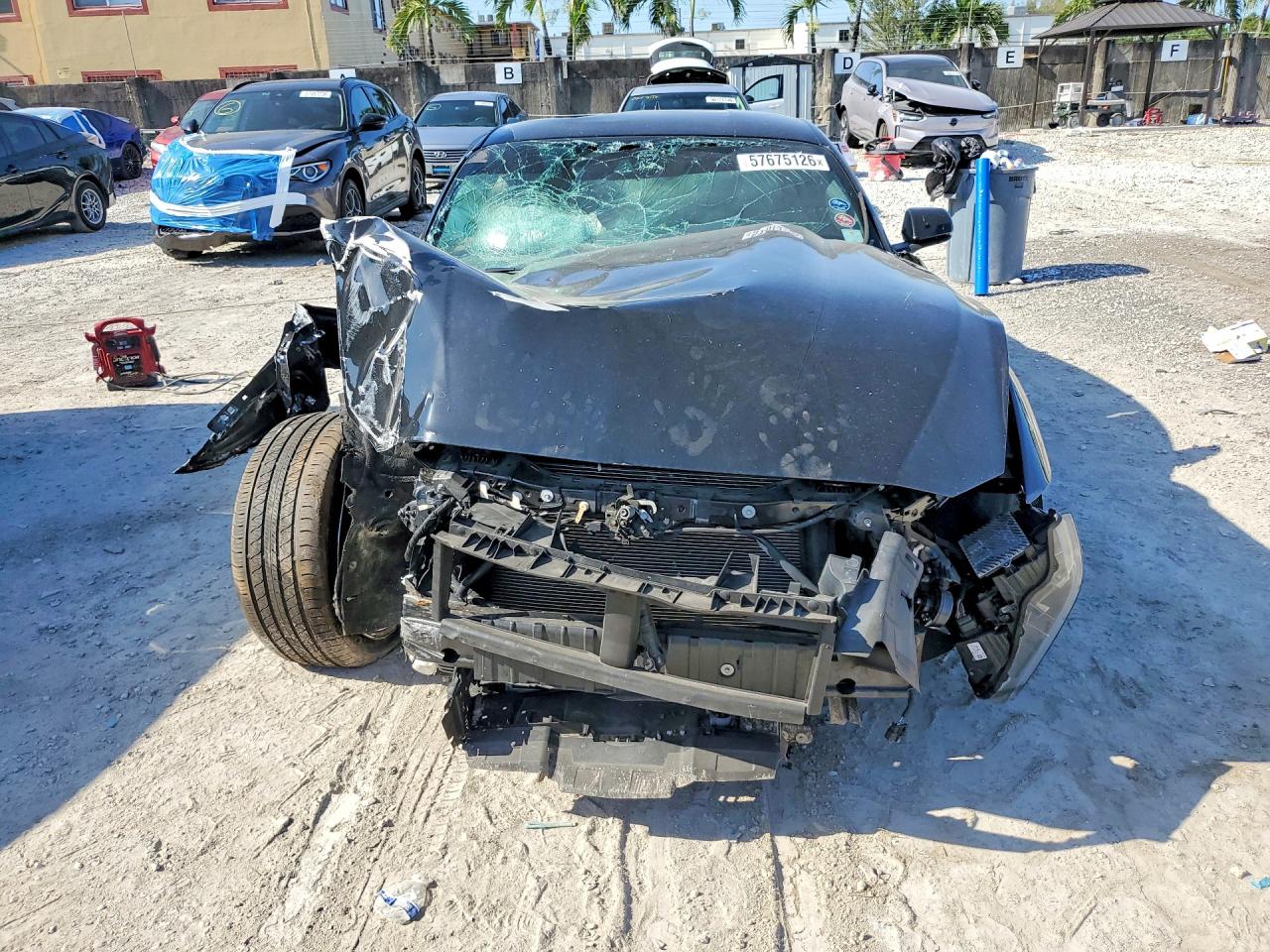 2024 FORD ALL Models