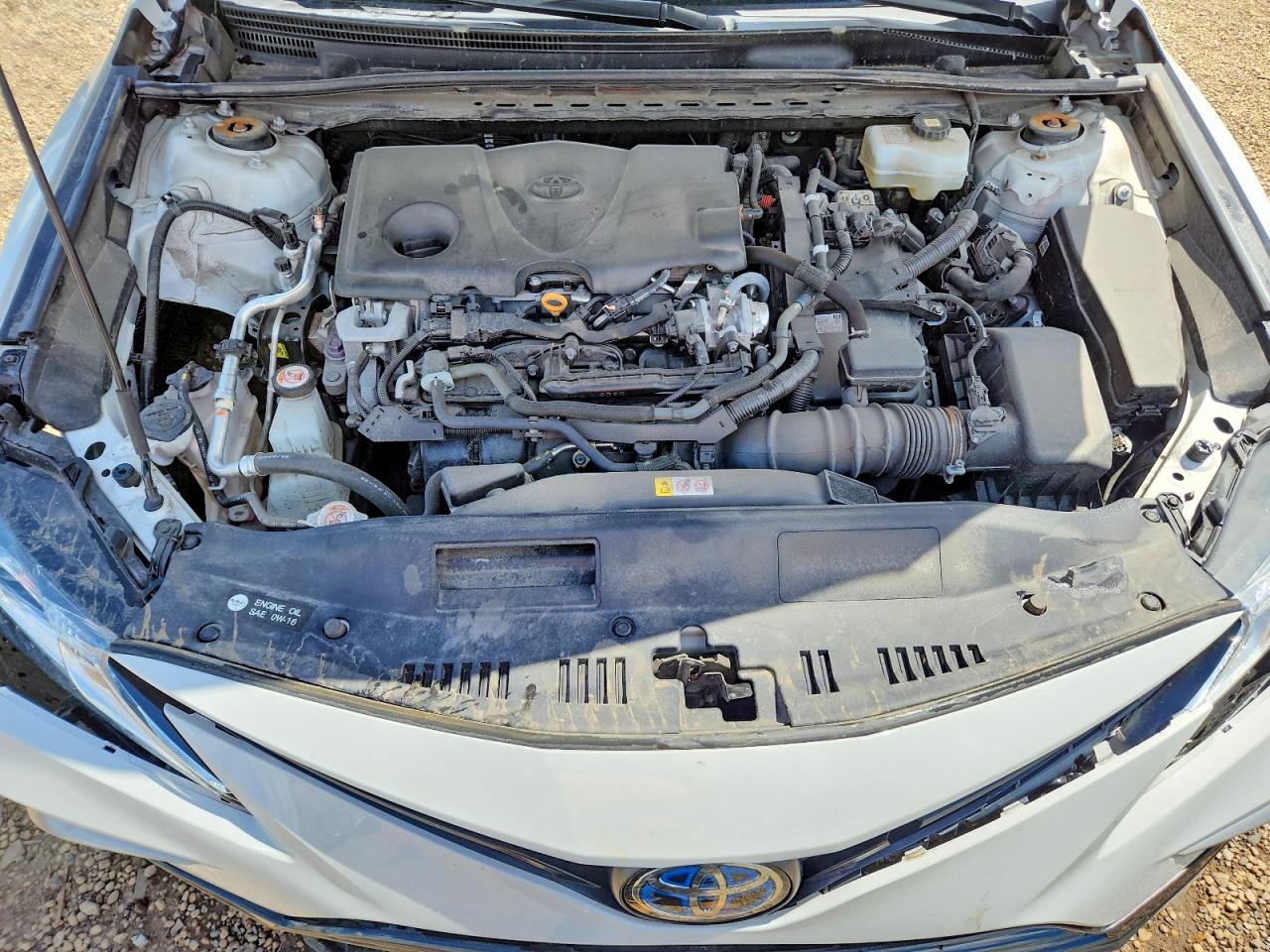 2023 TOYOTA CAMRY