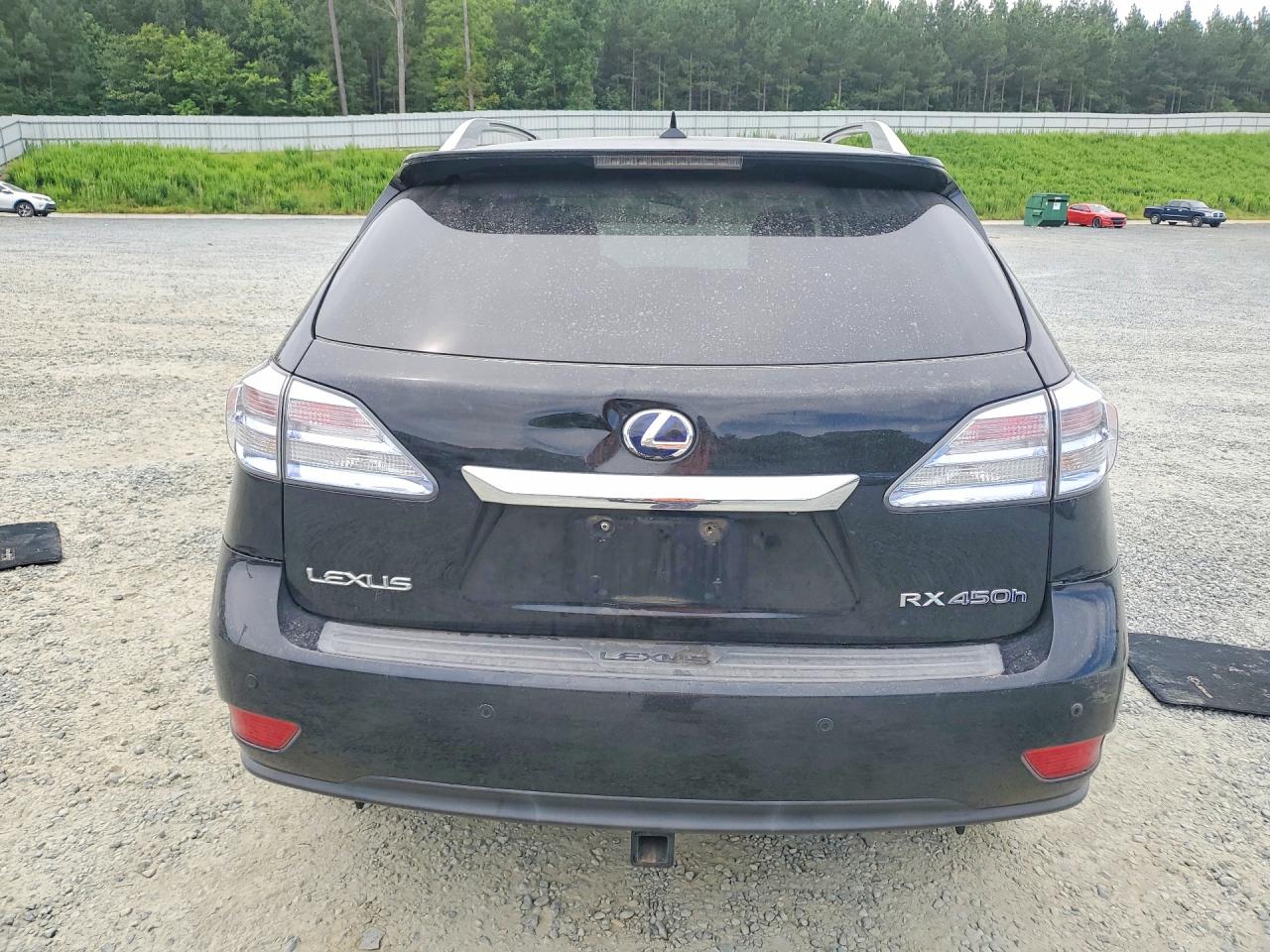 2010 LEXUS RX450