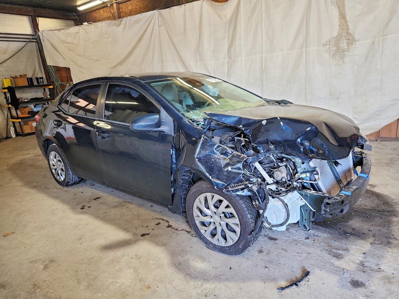 2019 TOYOTA COROLLA
