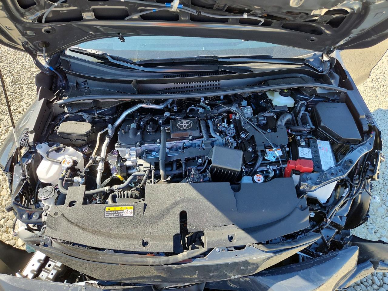 2026 TOYOTA COROLLA