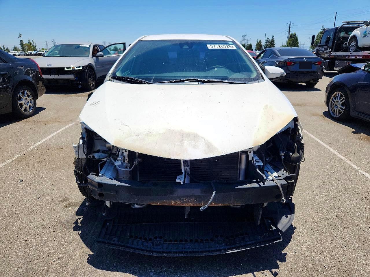 2019 TOYOTA COROLLA