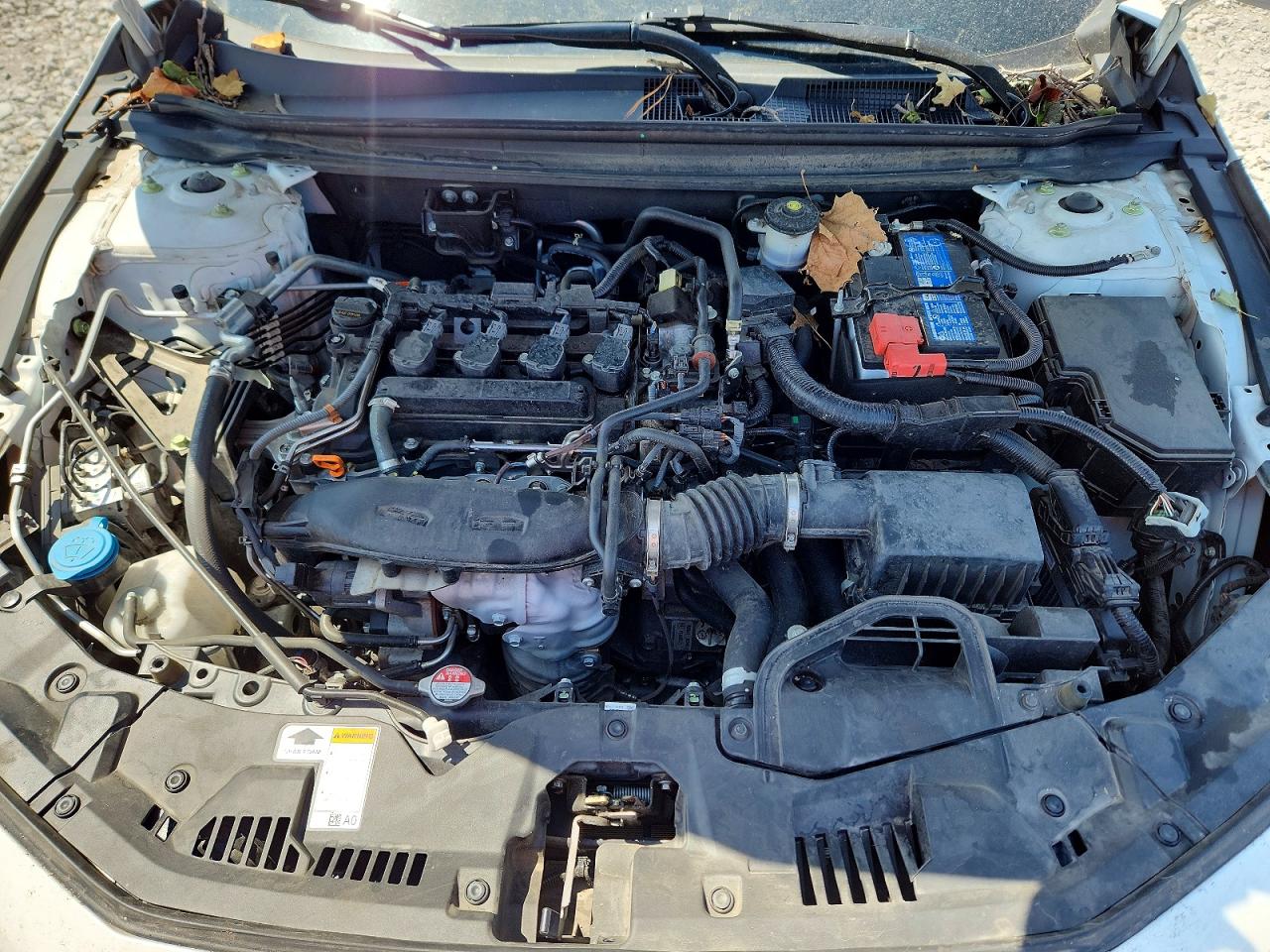 2023 HONDA ACCORD
