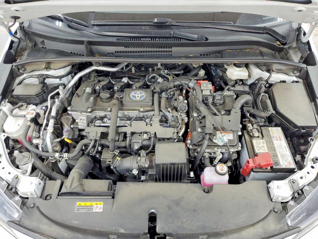 2023 TOYOTA COROLLA