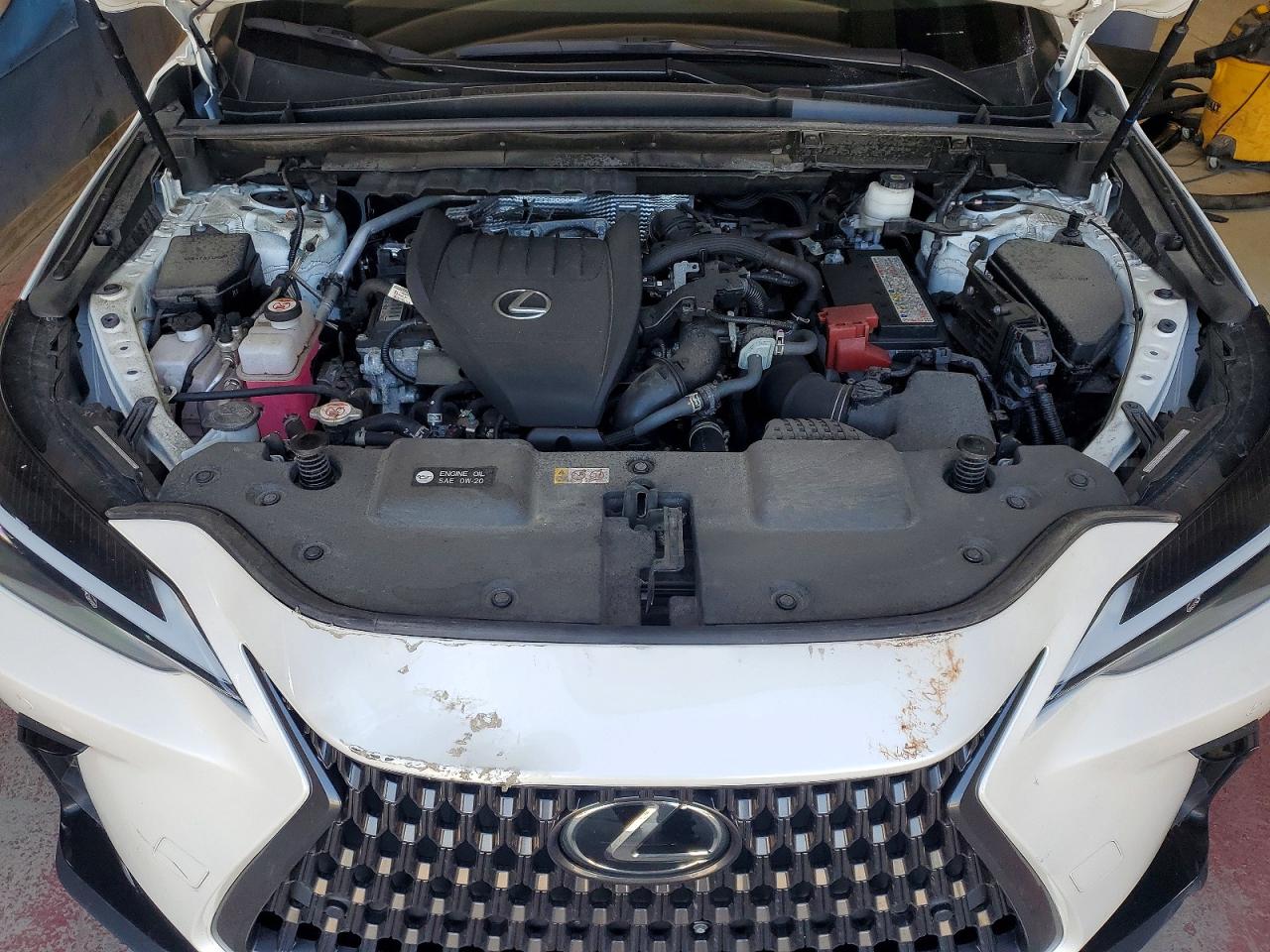 2024 LEXUS NX