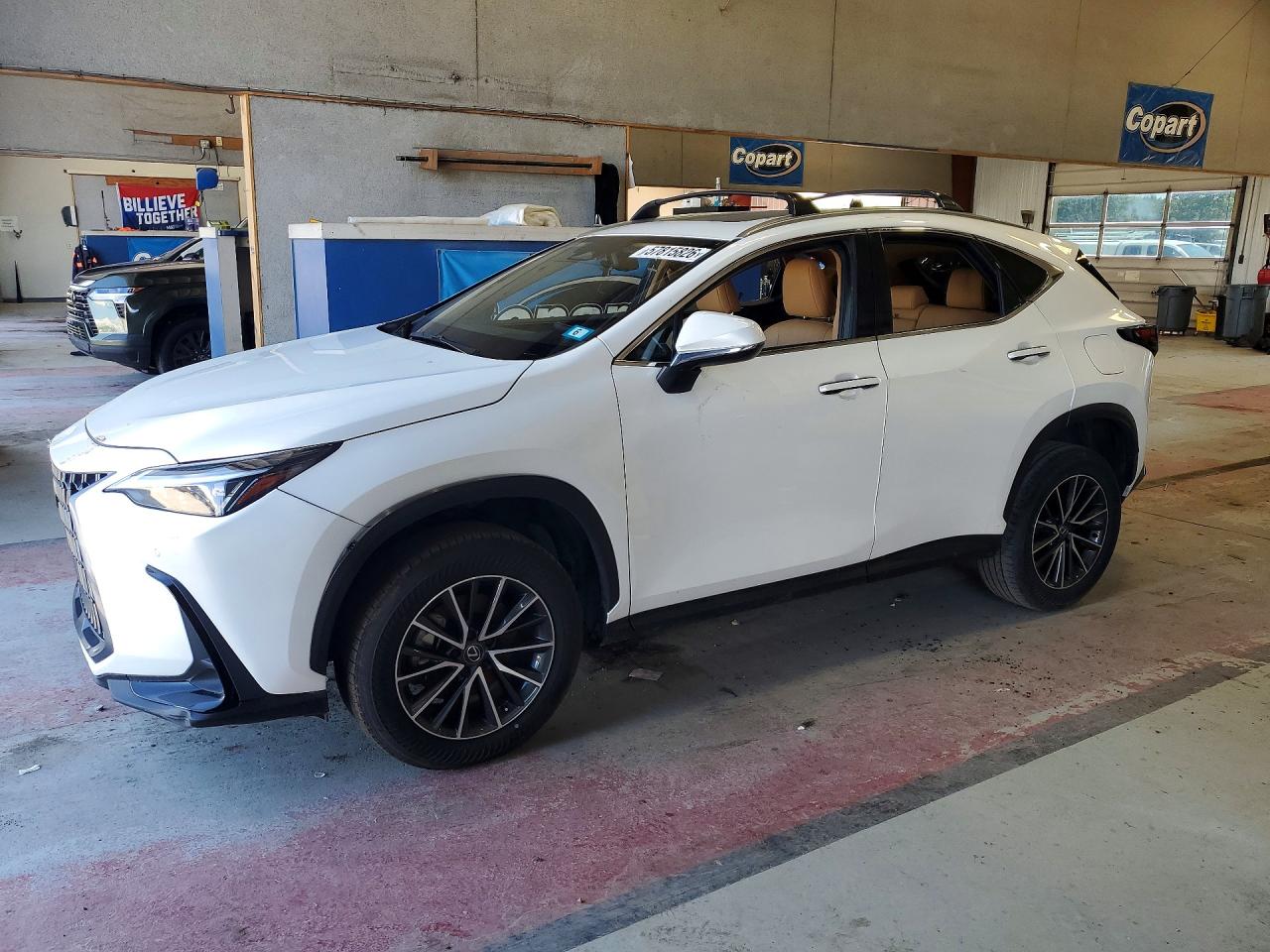 2024 LEXUS NX