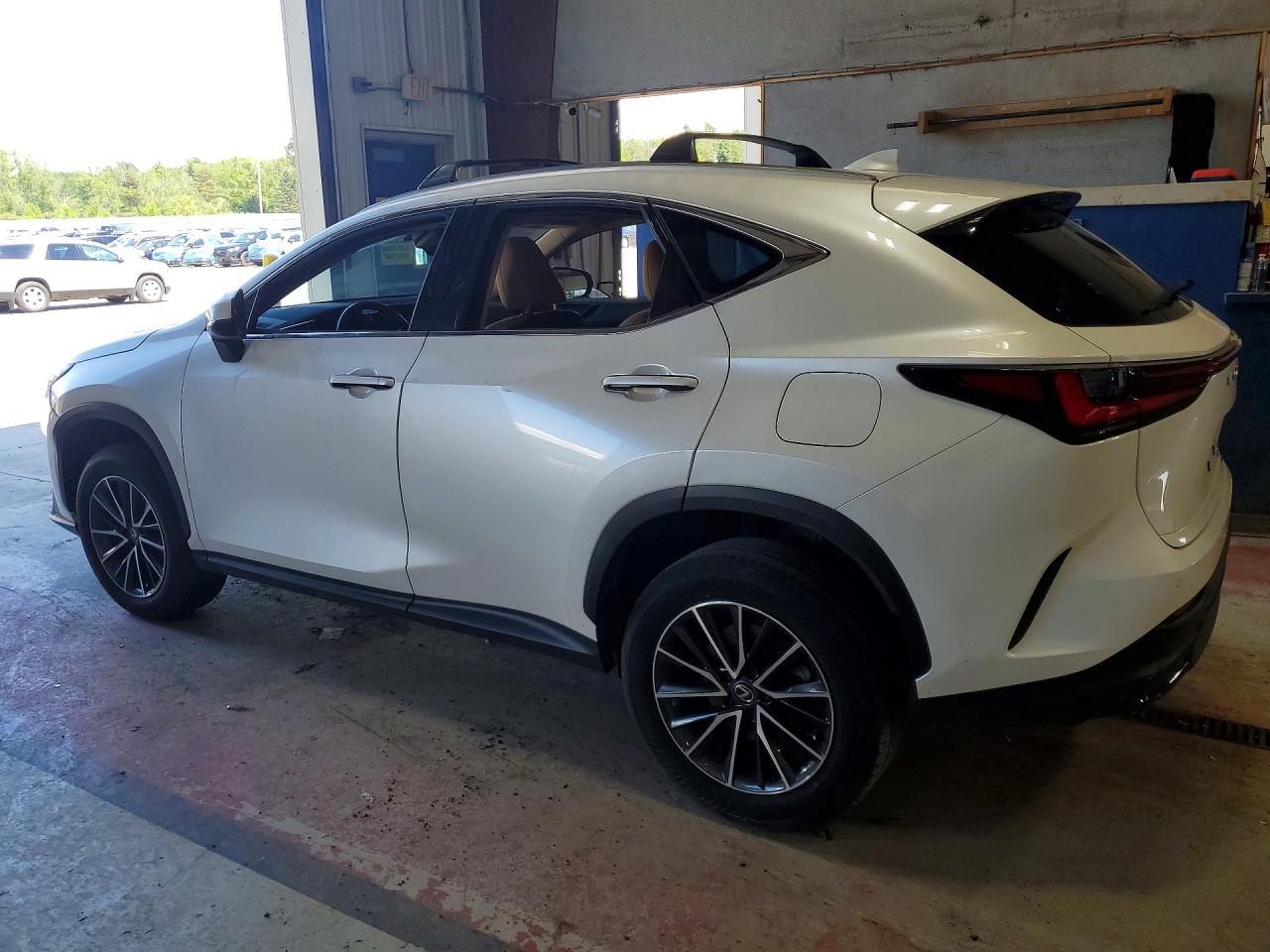 2024 LEXUS NX