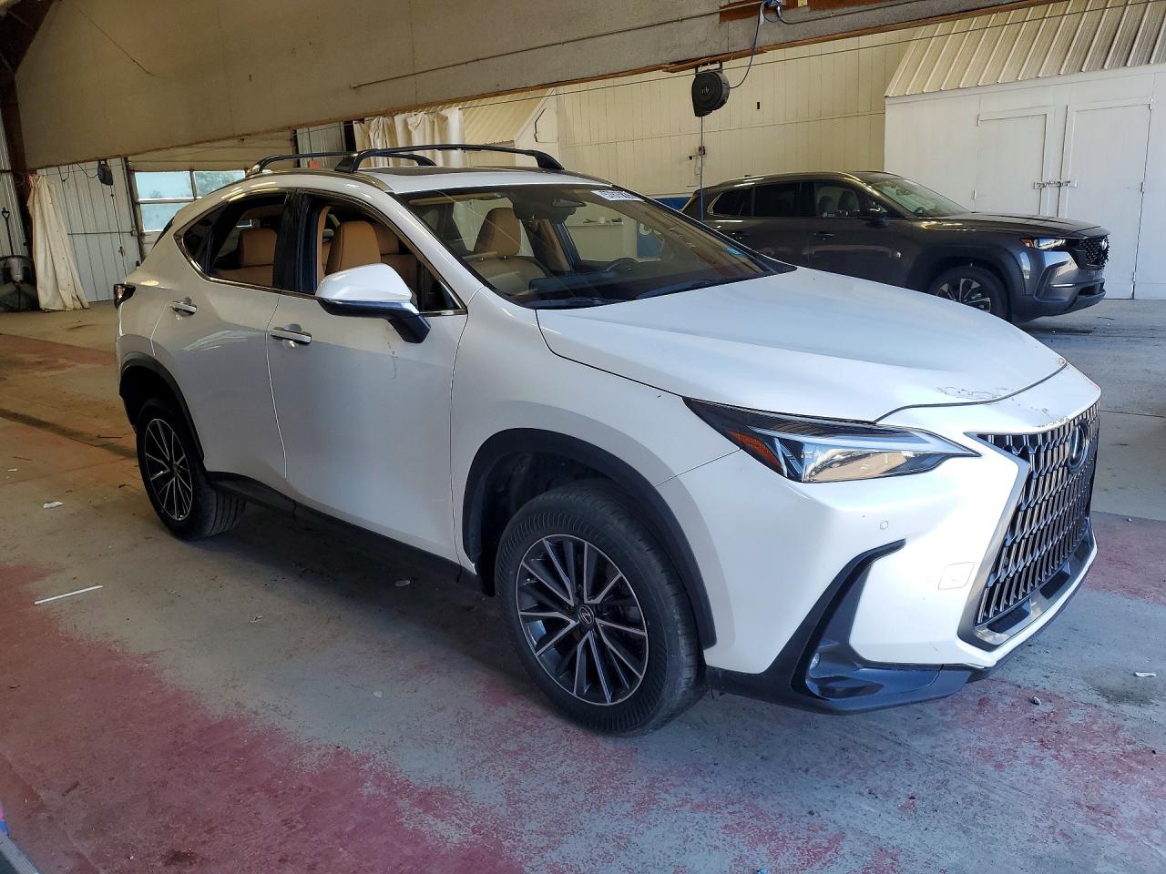 2024 LEXUS NX
