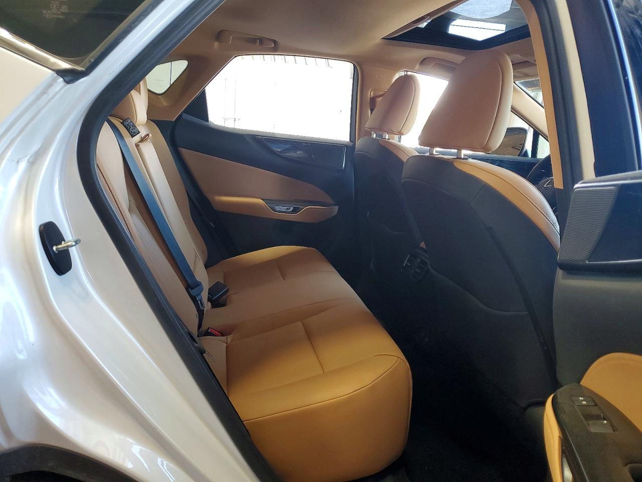 2024 LEXUS NX