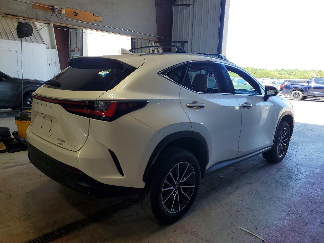 2024 LEXUS NX