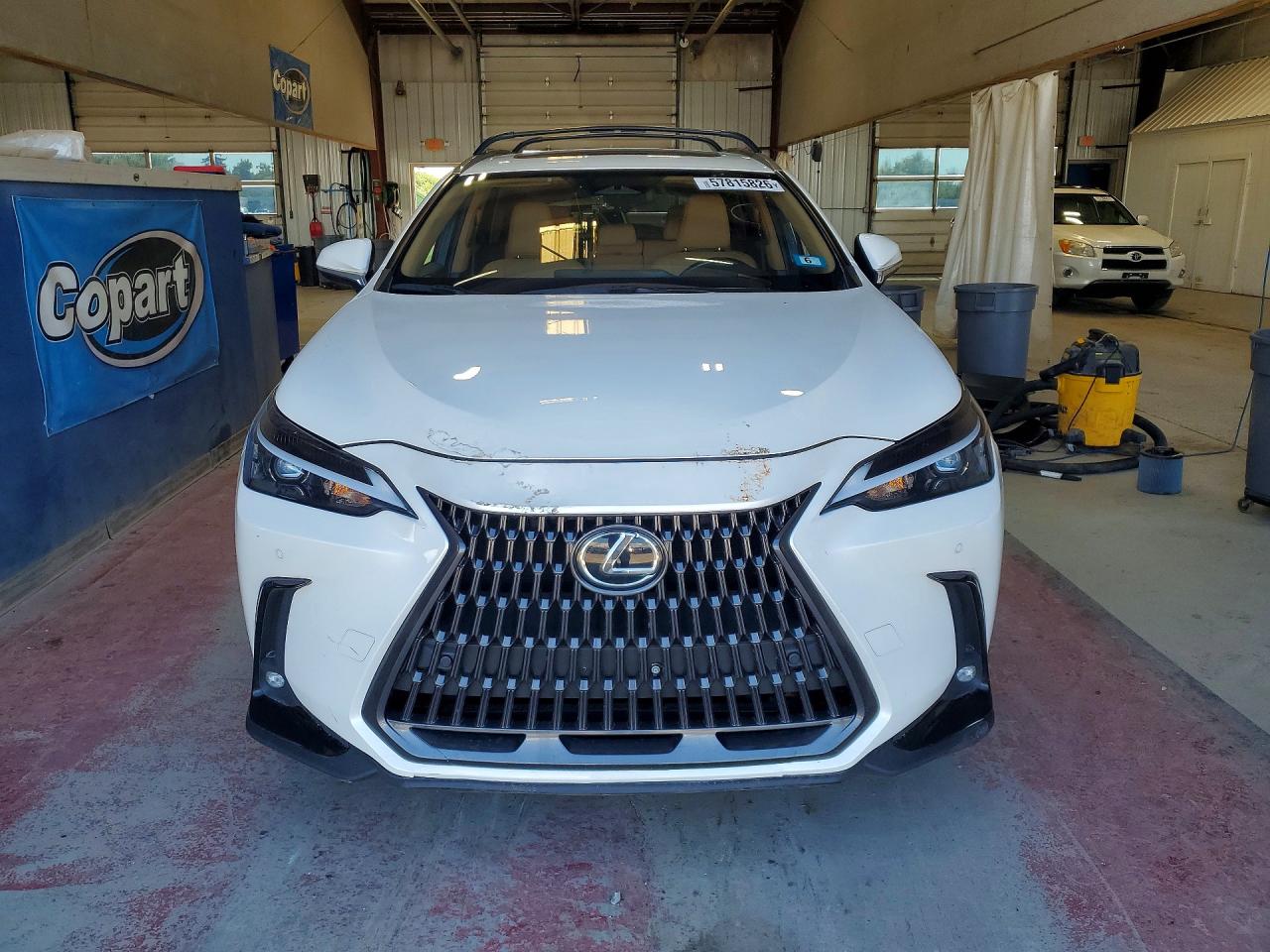 2024 LEXUS NX
