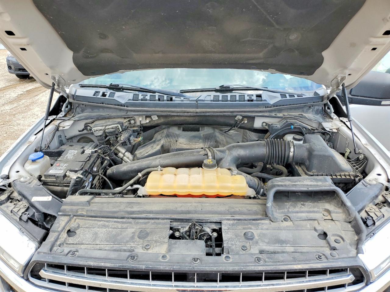 2019 FORD All Models