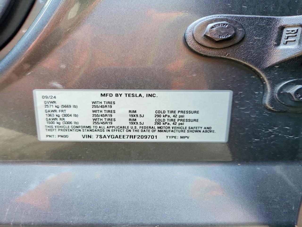 2024 TESLA MODEL Y