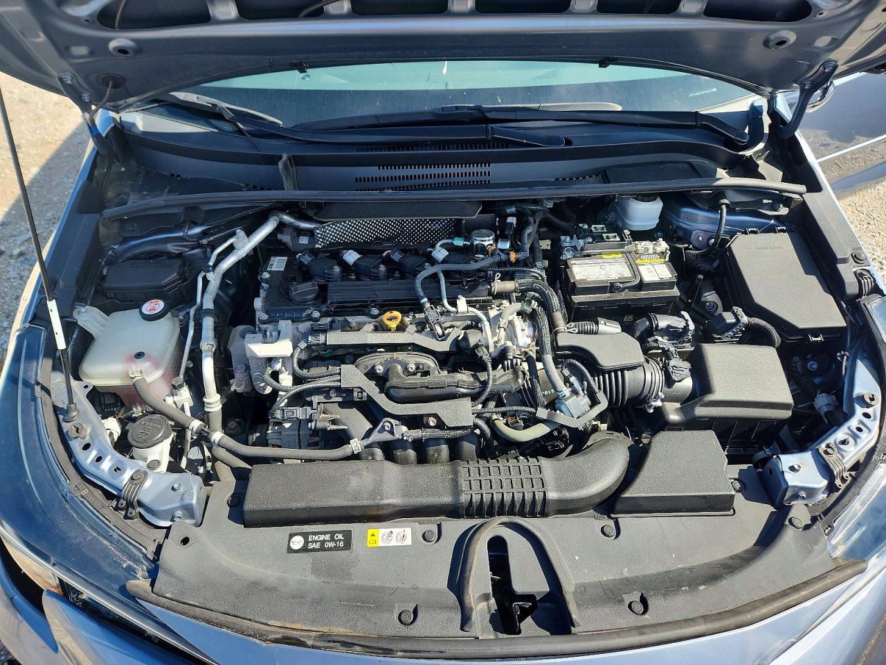 2021 TOYOTA COROLLA