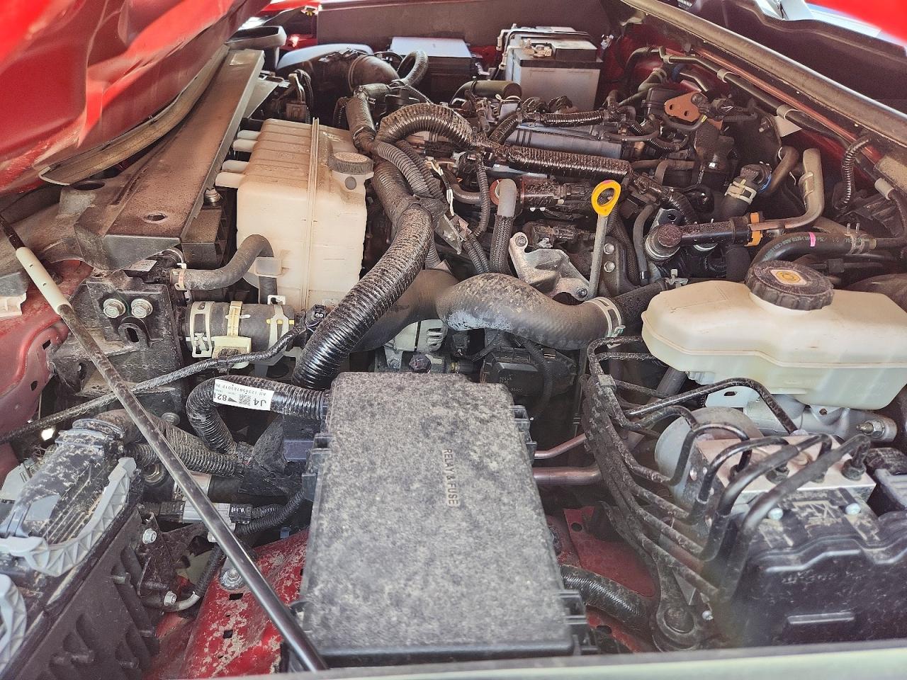 2025 TOYOTA 4RUNNER
