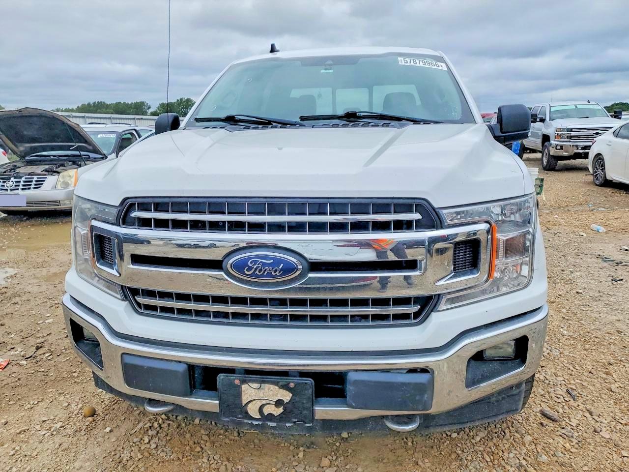2019 FORD F150