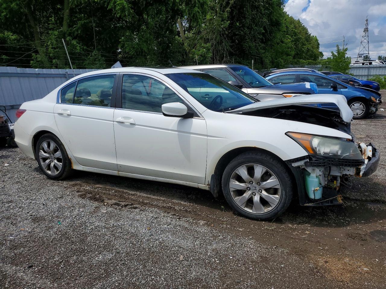 2010 HONDA ACCORD