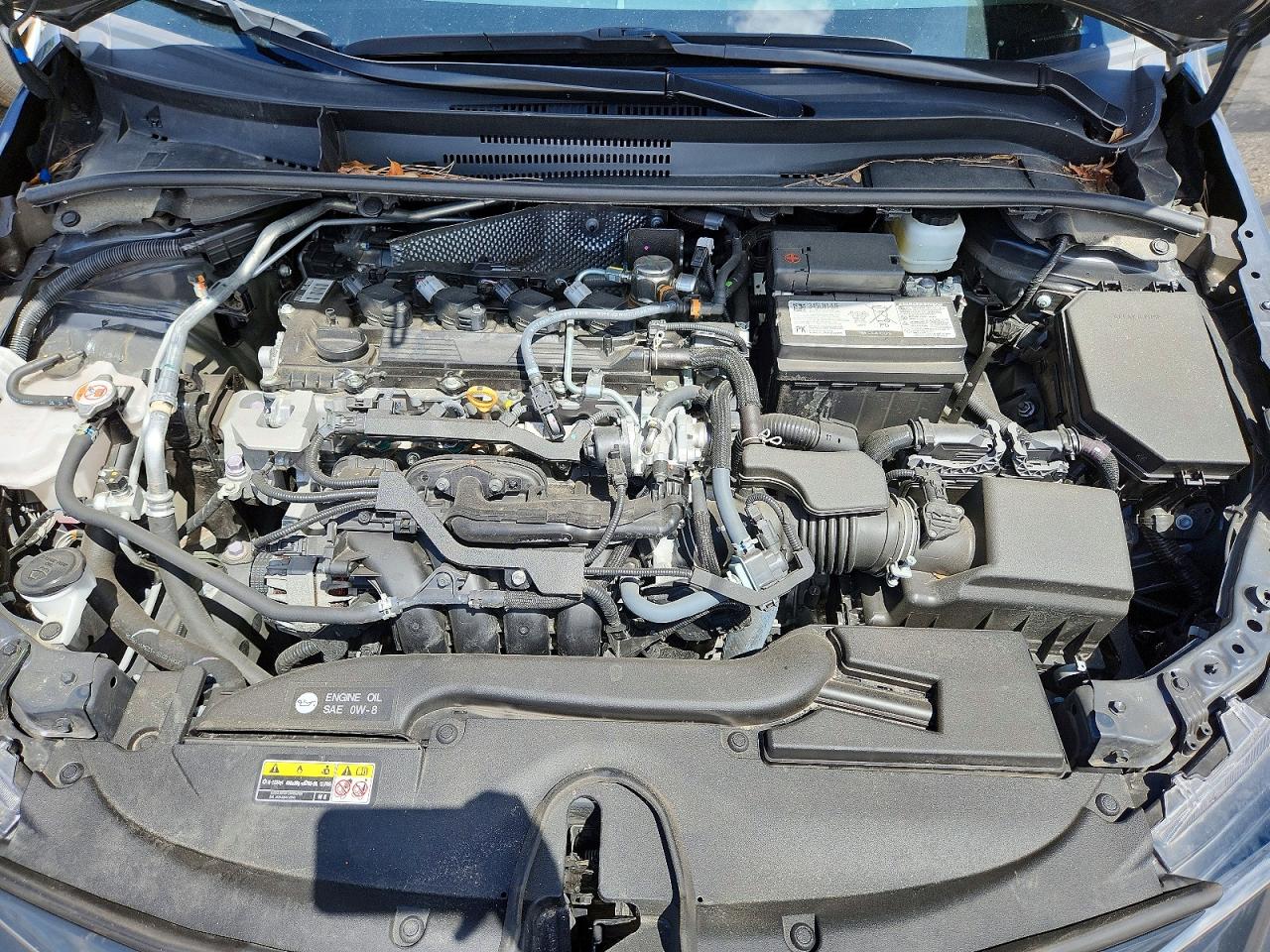2025 TOYOTA COROLLA