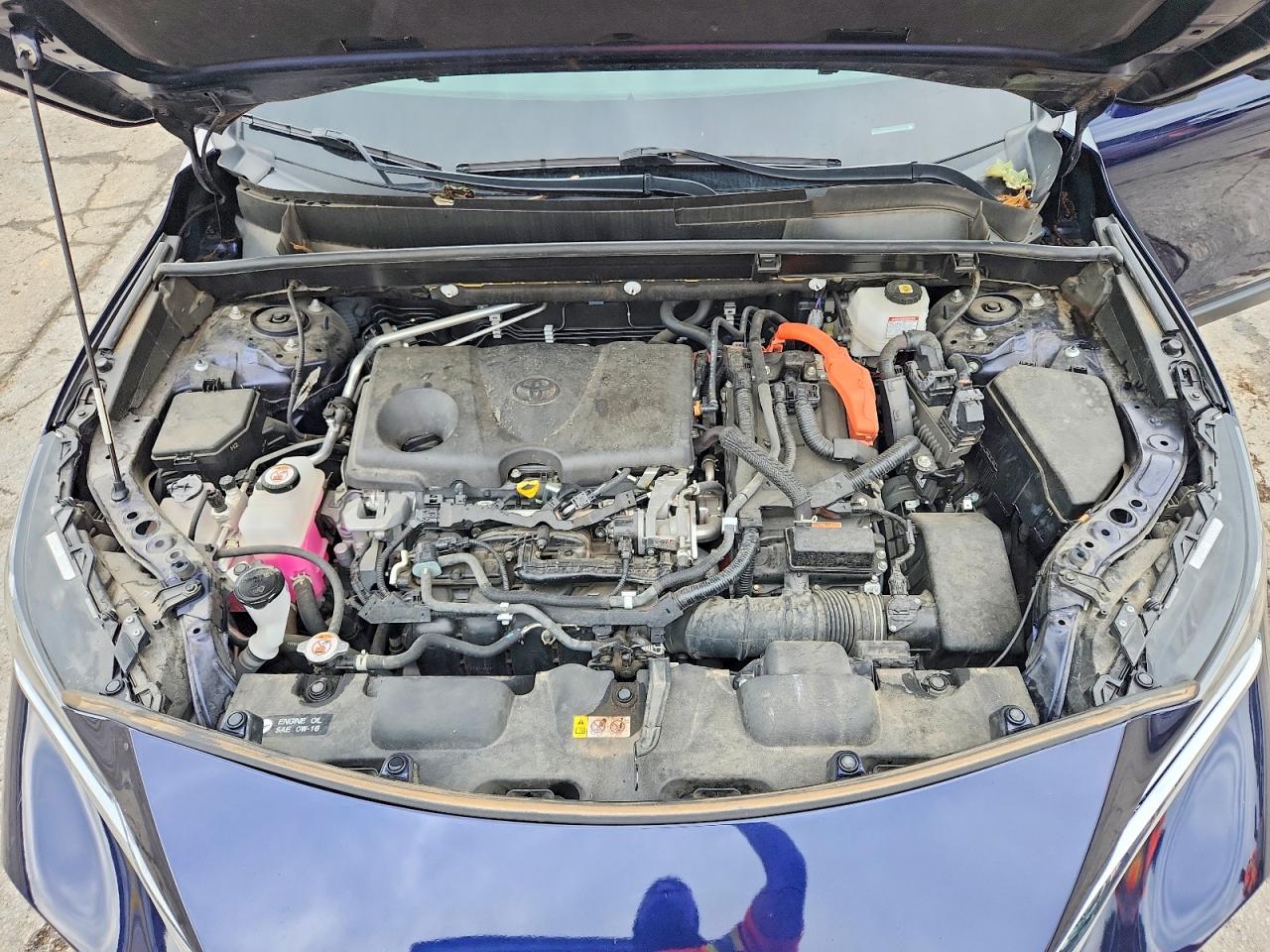 2021 TOYOTA VENZA
