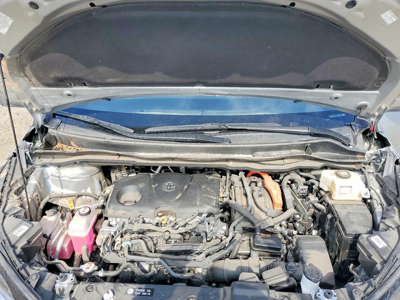 2025 TOYOTA SIENNA