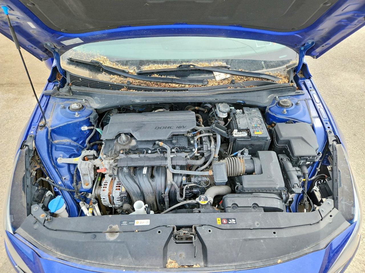 2023 HYUNDAI ELANTRA