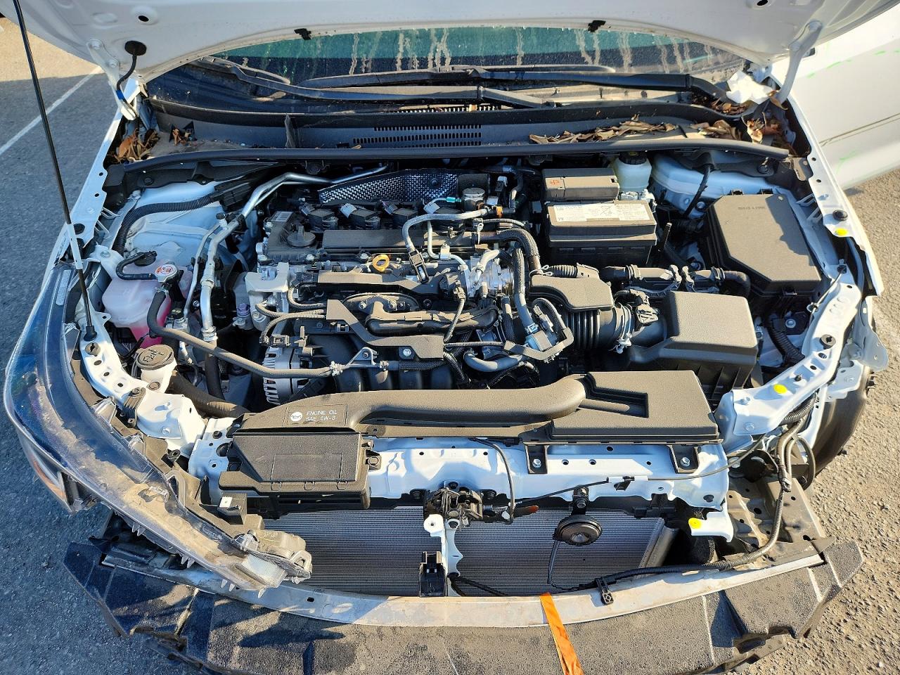 2025 TOYOTA COROLLA