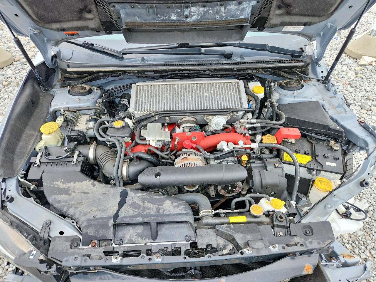2020 SUBARU WRX