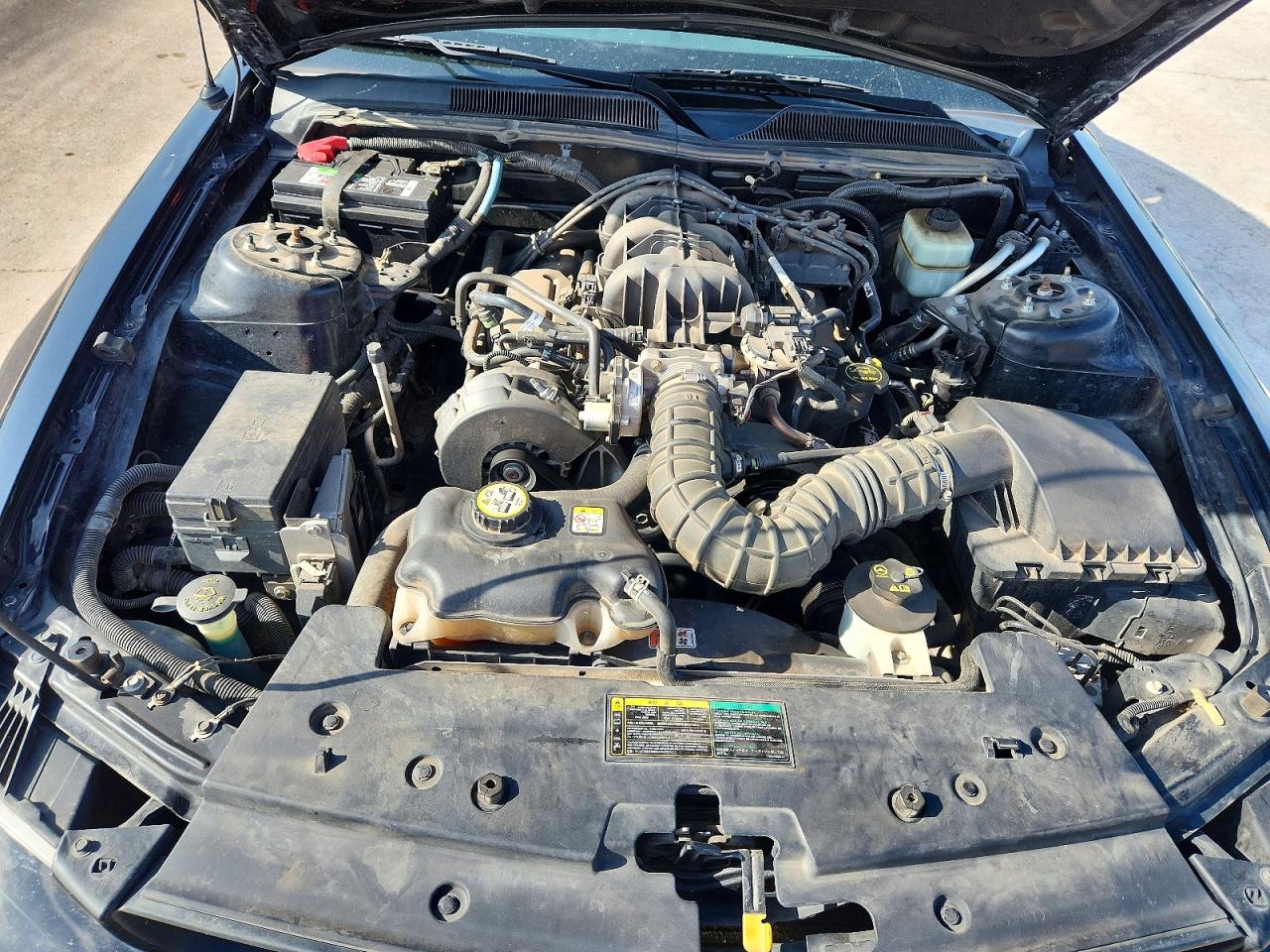 2005 FORD MUSTANG