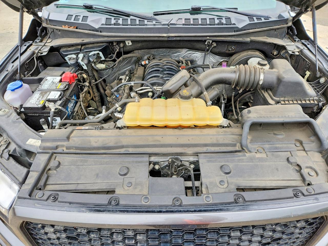 2019 FORD F150