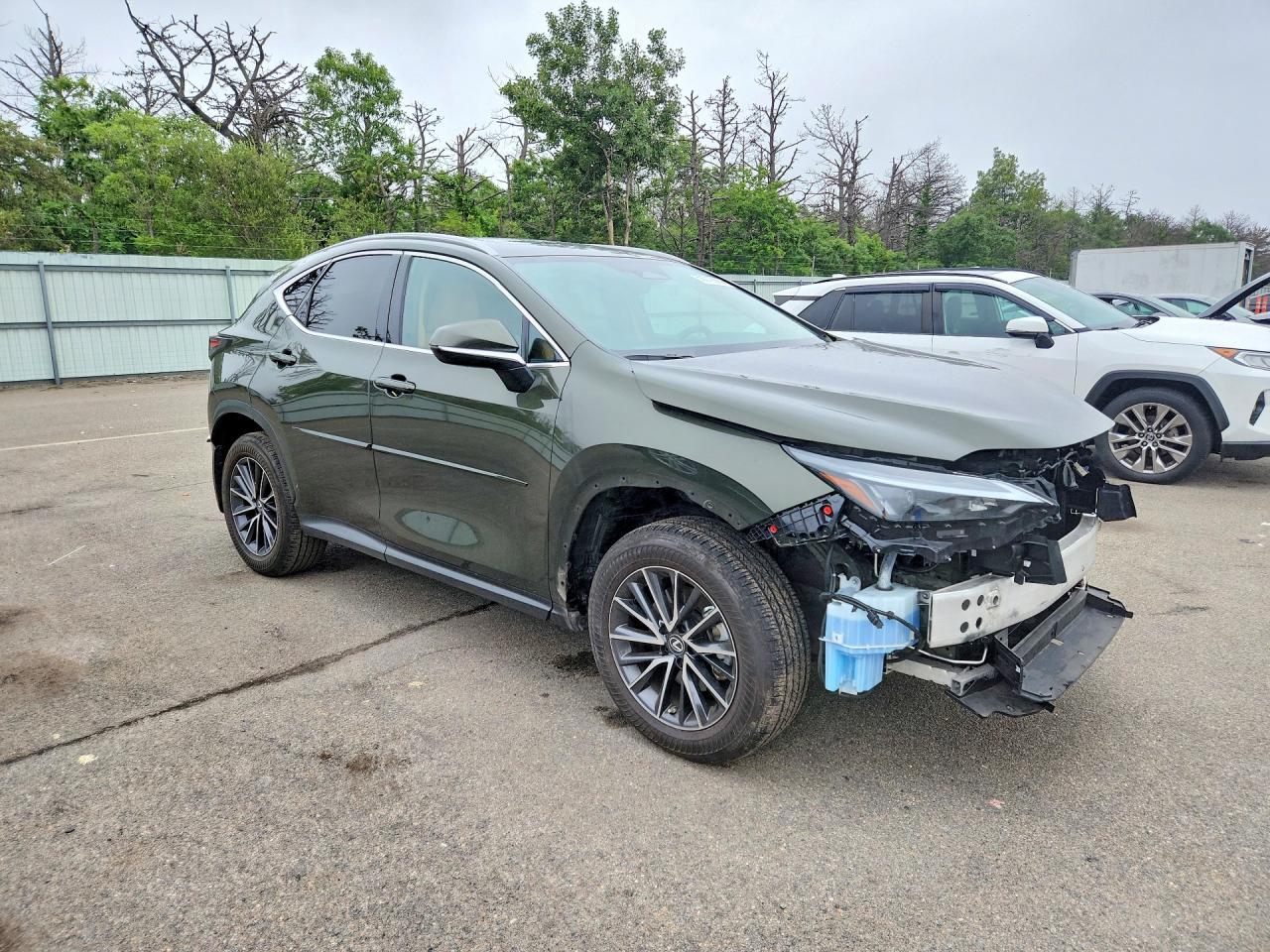 2022 LEXUS NX