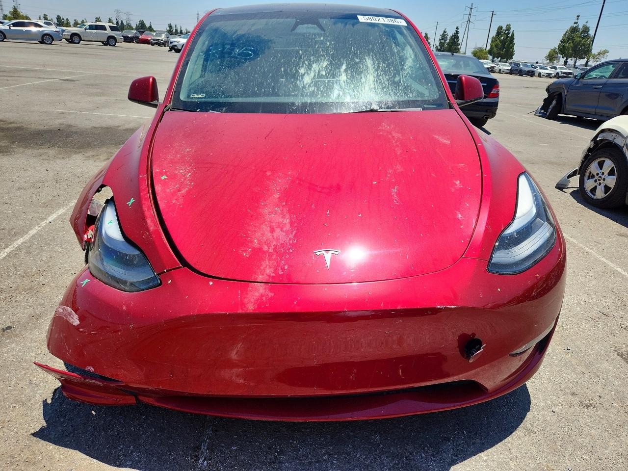 2024 TESLA MODEL Y