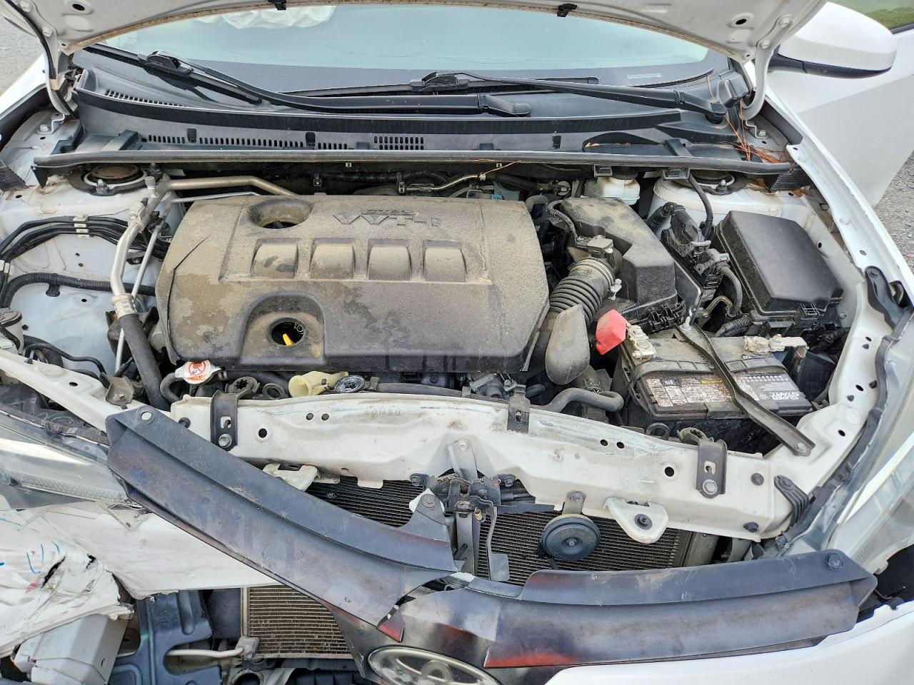 2019 TOYOTA COROLLA