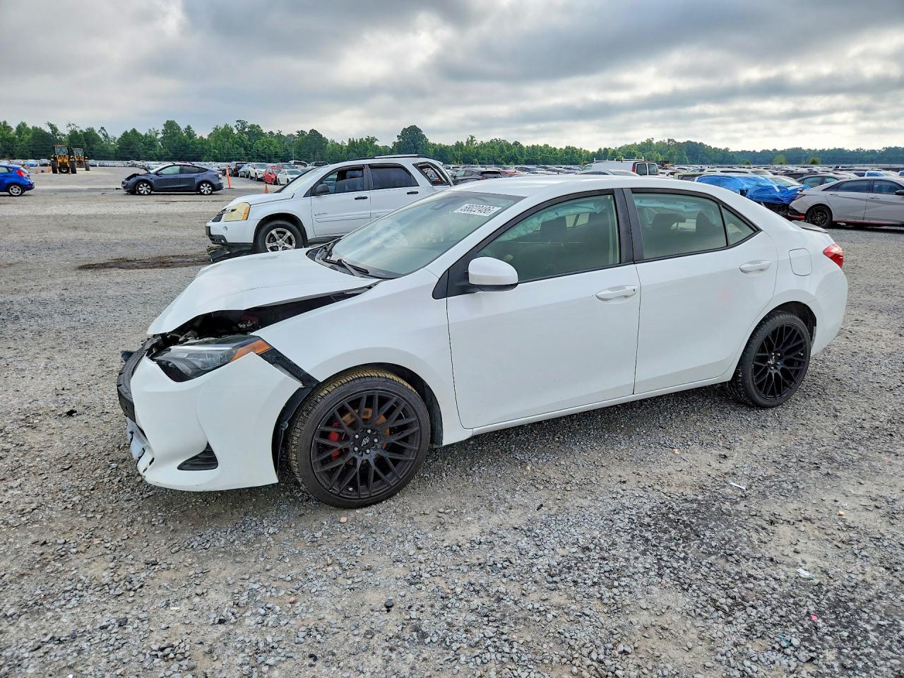 2019 TOYOTA COROLLA