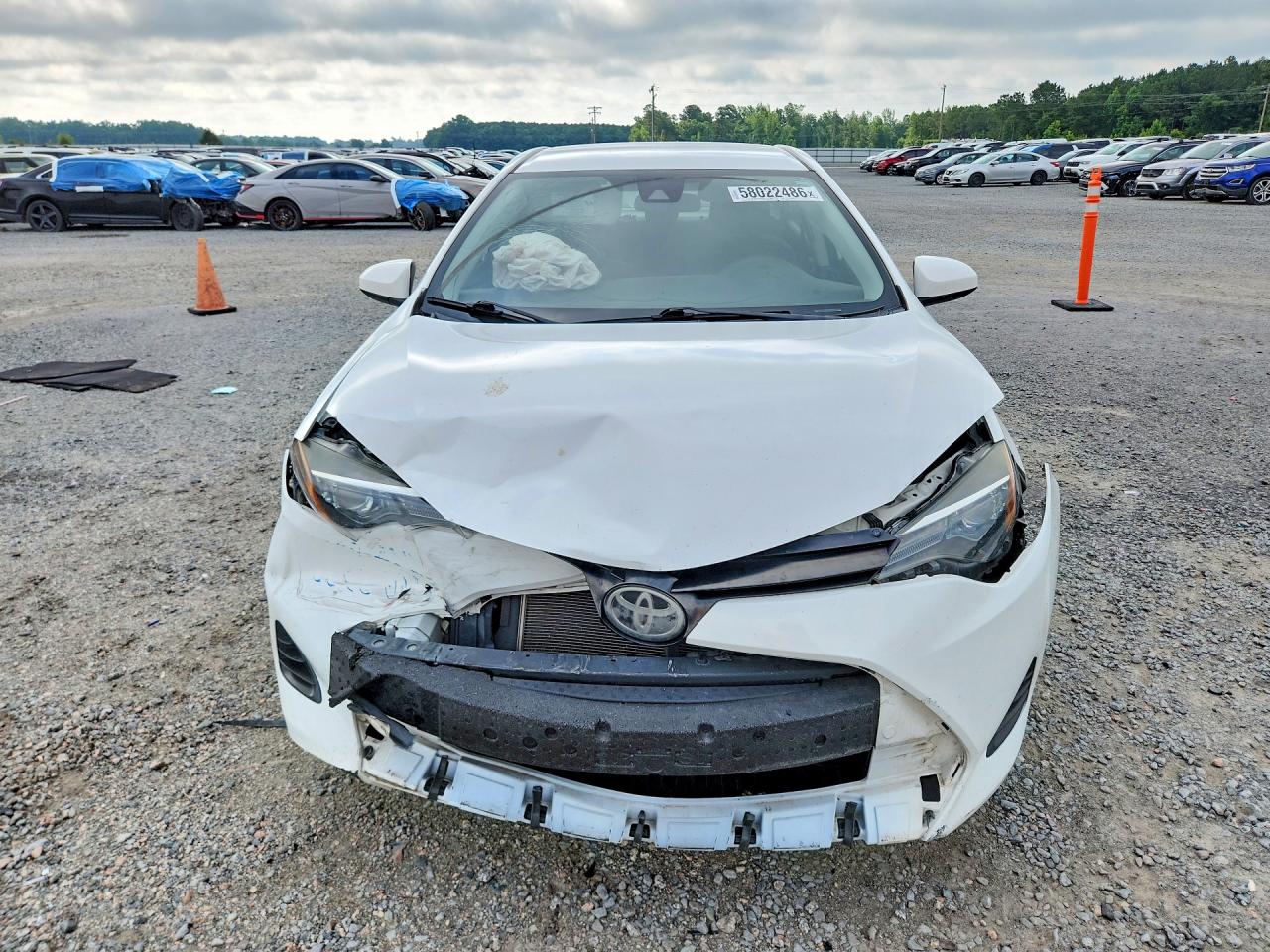 2019 TOYOTA COROLLA