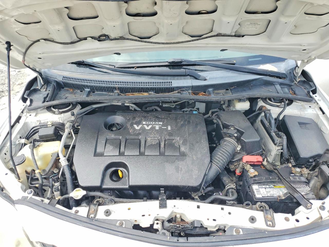 2010 TOYOTA COROLLA