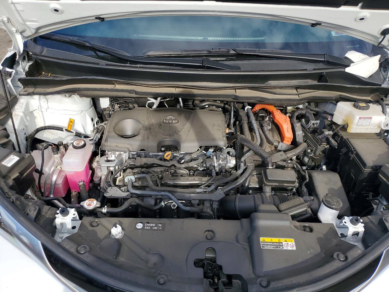 2025 TOYOTA SIENNA