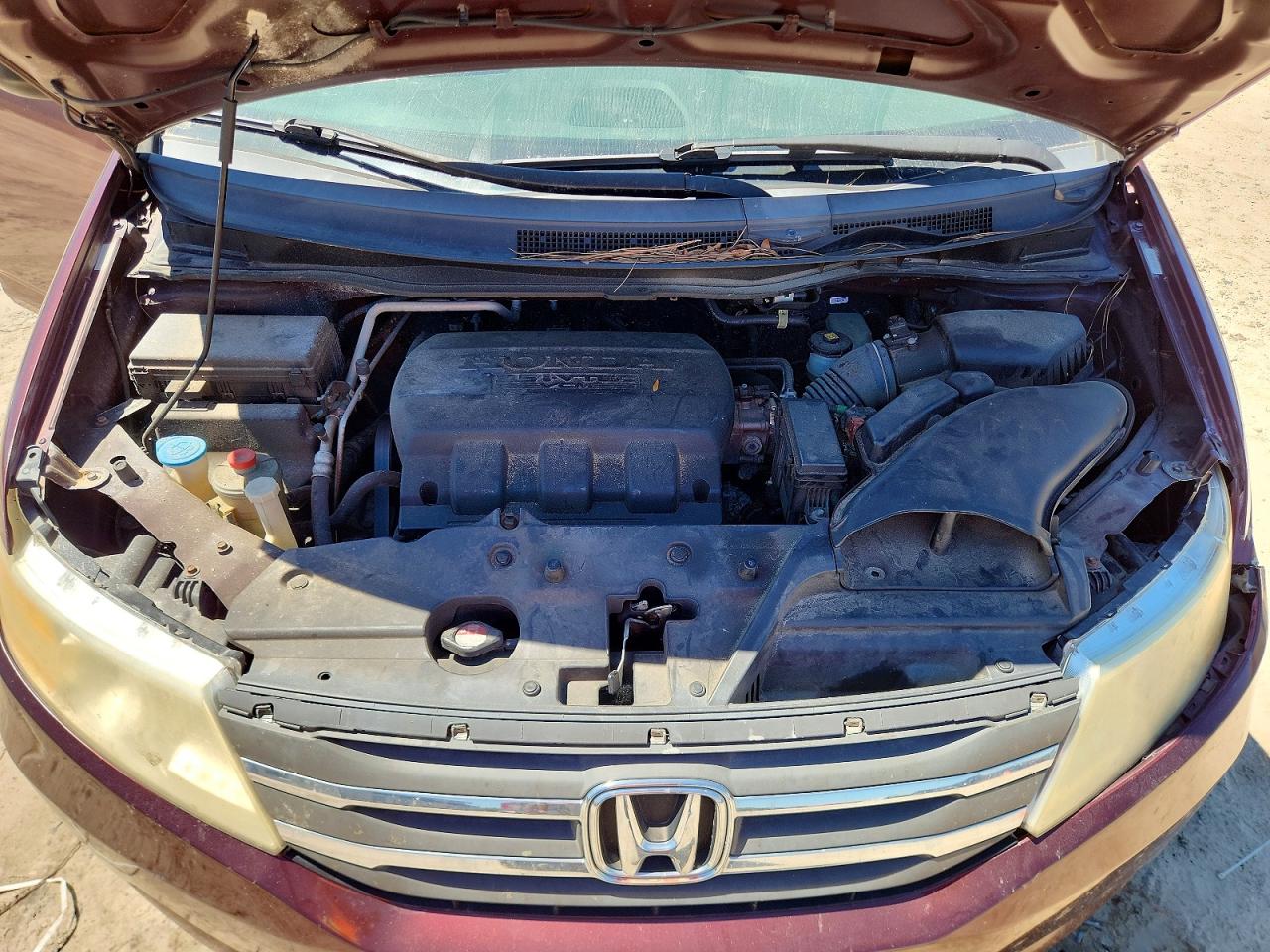 2011 HONDA All Models