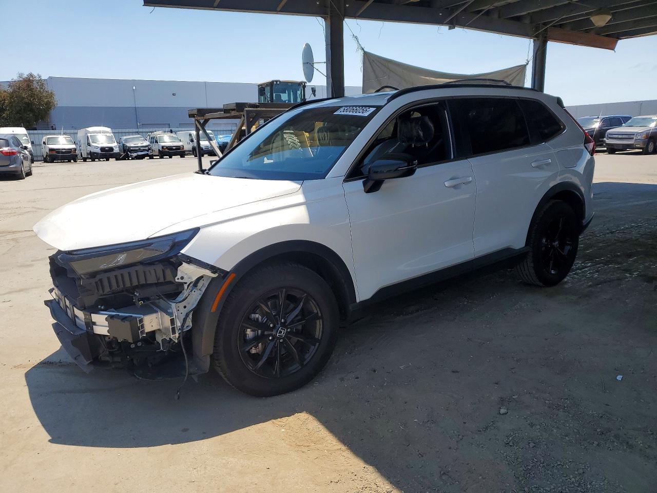 2025 HONDA CRV