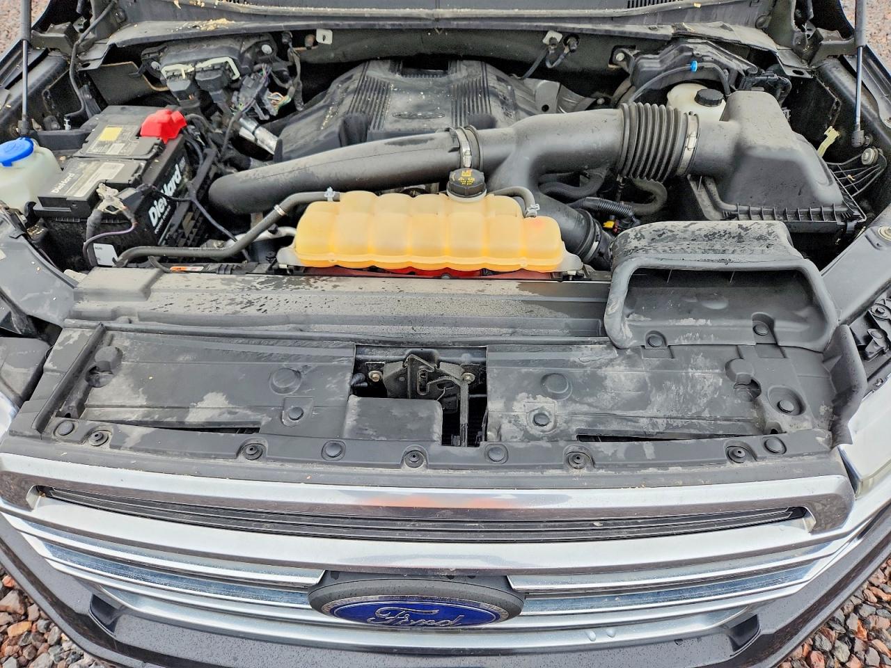 2019 FORD F150
