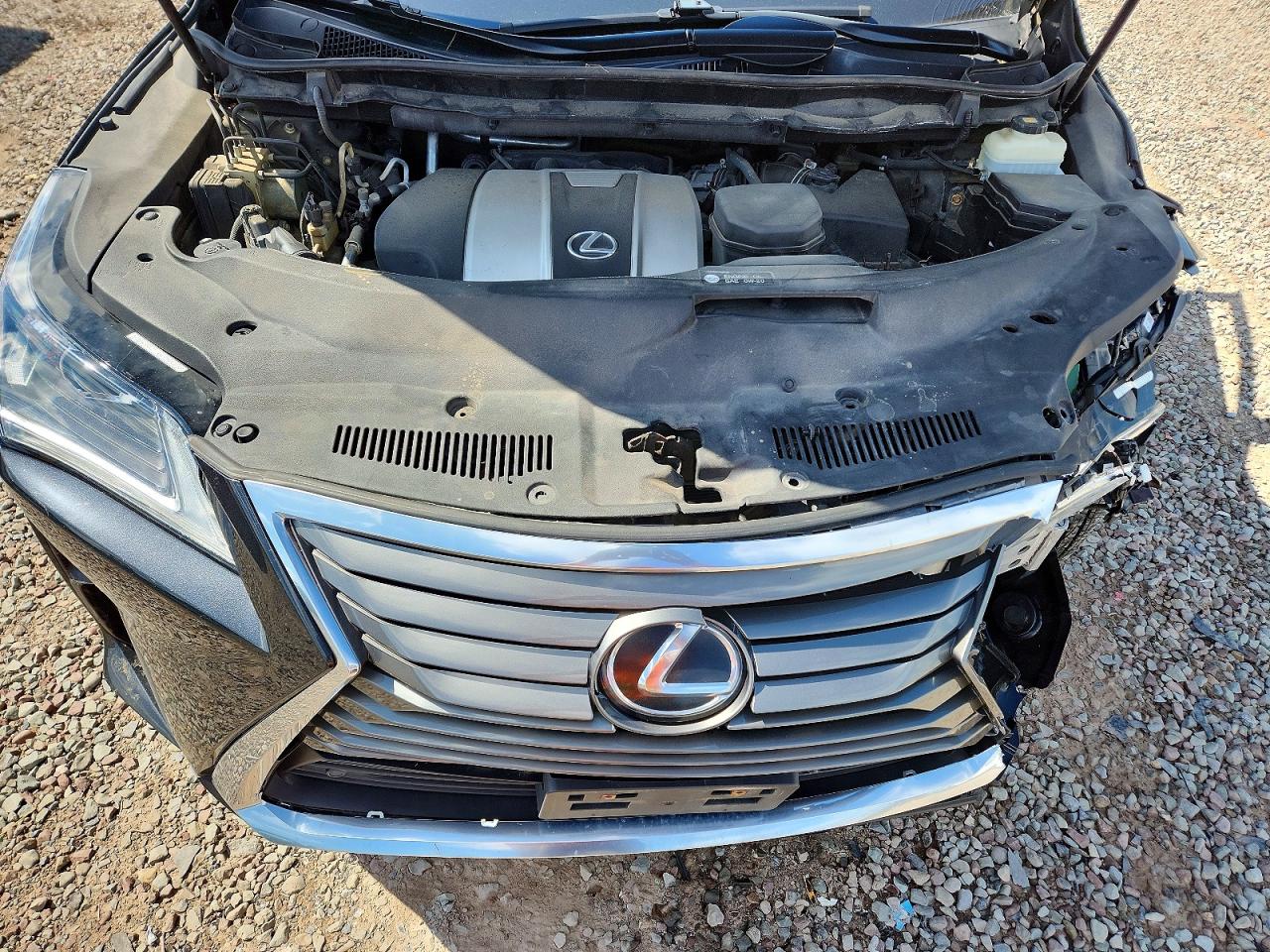 2019 LEXUS RX350