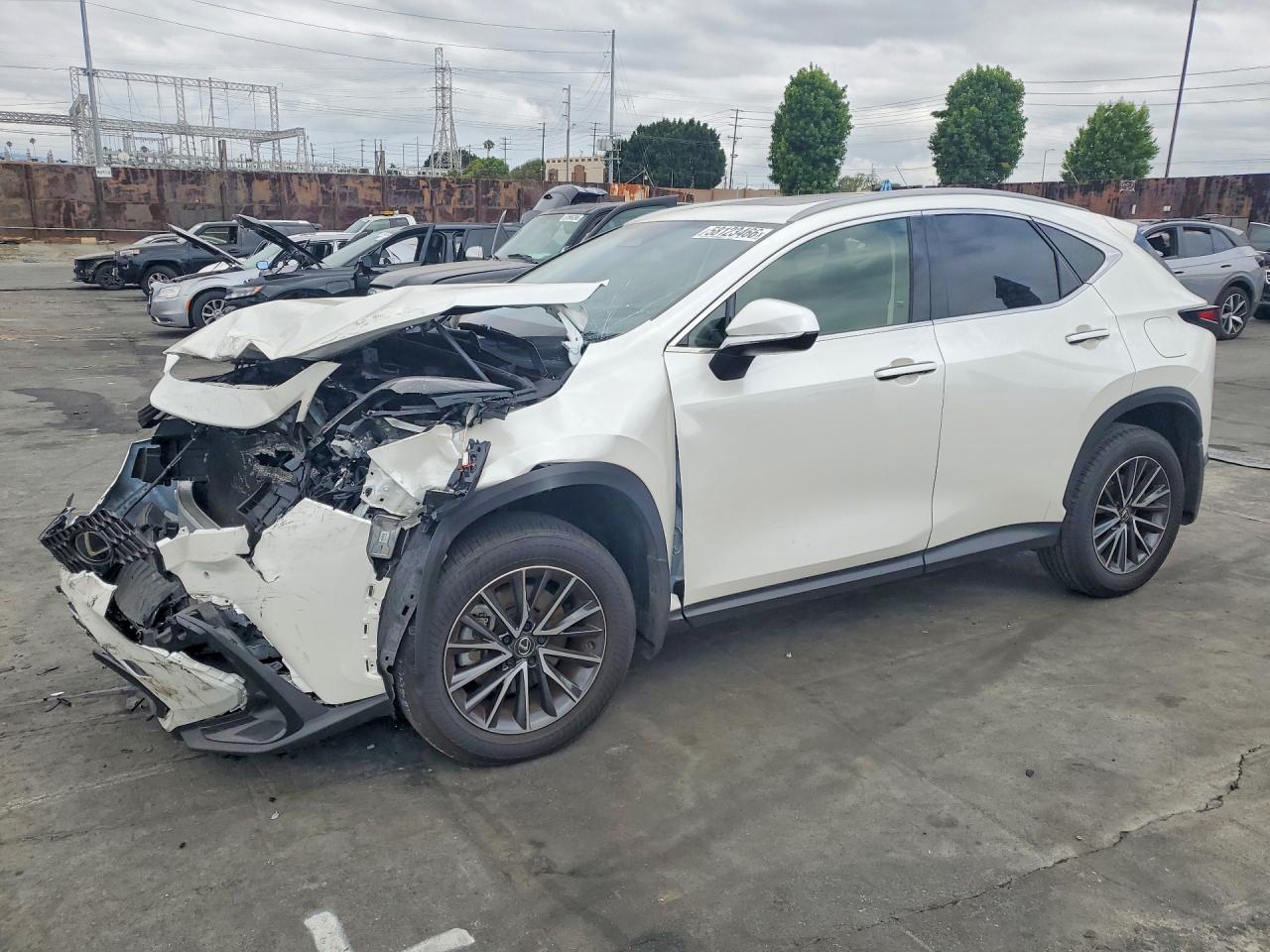 2025 LEXUS NX