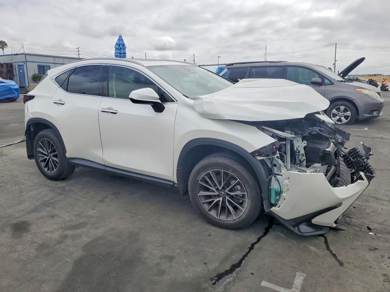 2025 LEXUS NX