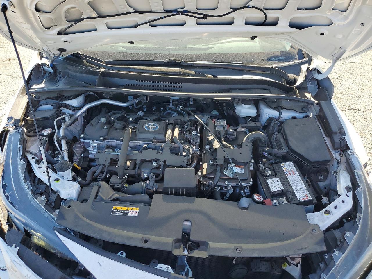 2024 TOYOTA COROLLA