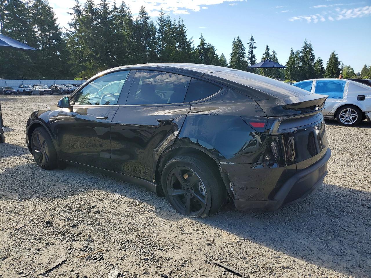 2026 TESLA MODEL Y
