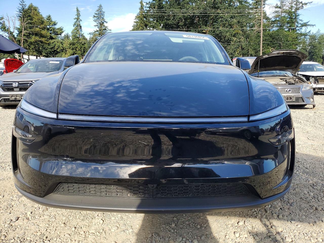 2026 TESLA MODEL Y