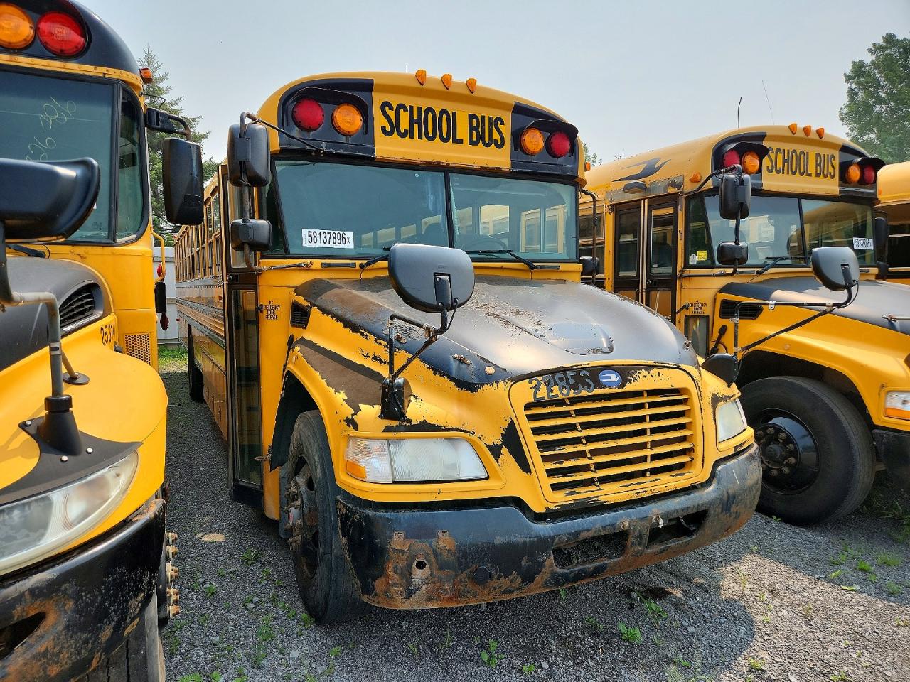2013 BLUEBIRD ALL Models