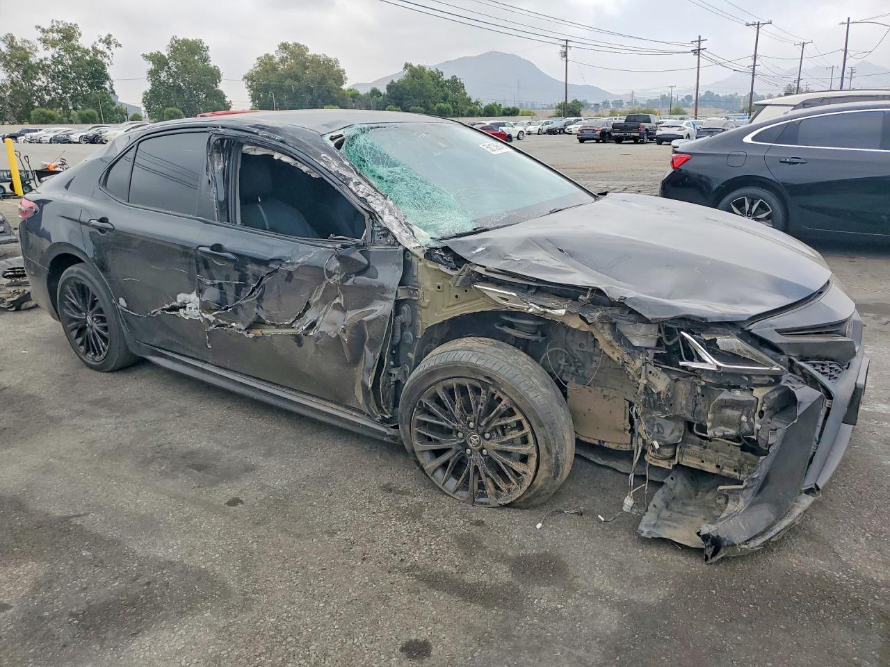 2019 TOYOTA CAMRY