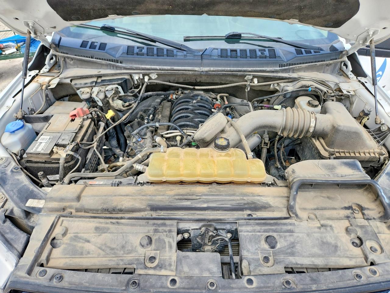 2020 FORD F150