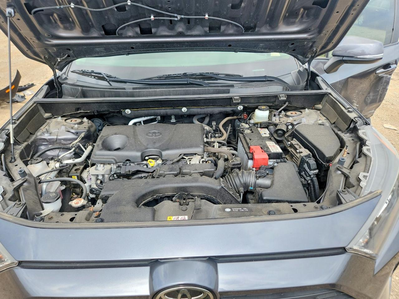 2019 TOYOTA RAV4